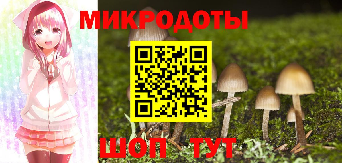 Псилоцибиновые грибы Psilocybe Калач-на-Дону
